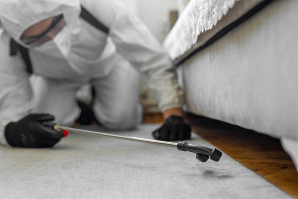 Professional Pest Control technician working in Scott County County, KY